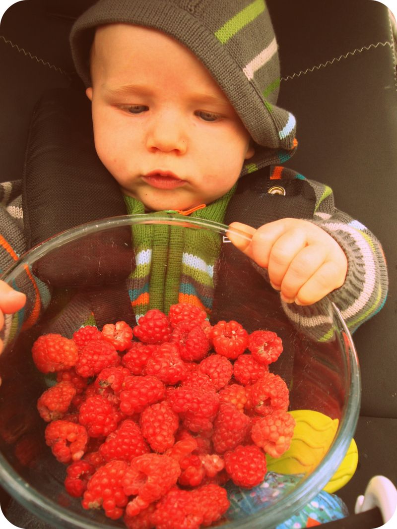 Raspberries