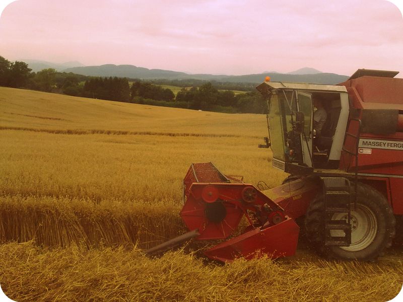 Harvest